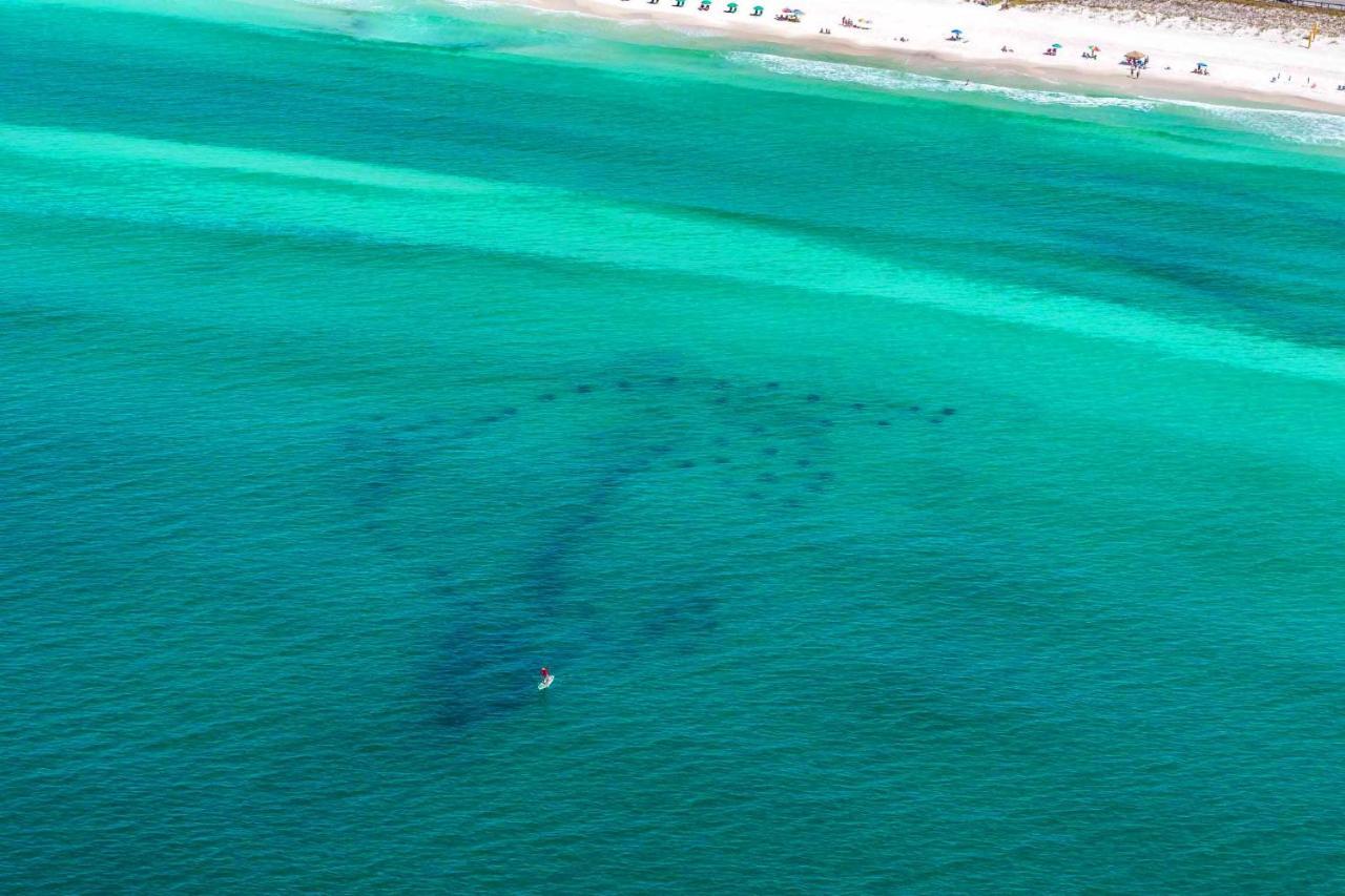 Ariel Dunes I 1605 Leilighet Destin Eksteriør bilde